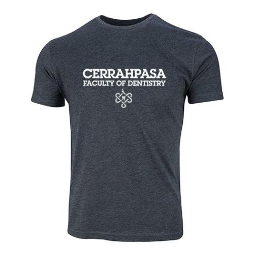 Istanbul Üniversitesi-Cerrahpasa Dis Hekimligi Model 2