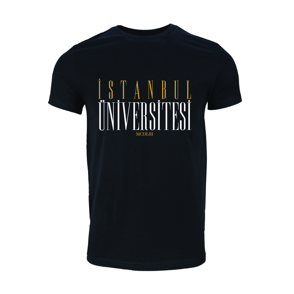 Istanbul Üniversitesi Model 6